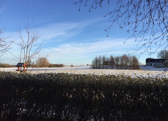 Vænget 6