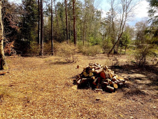 Storesøvej 6A, Langesø, 3080 Tikøb